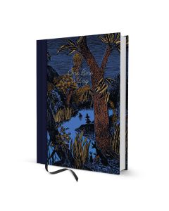 Viiden vuoden päiväkirja Putinki Muumi - Iltauinti