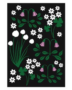 1-OS ANNE VASKO AV LP 24