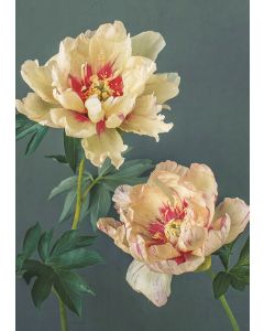 Postikortti Kreetta Järvenpää - Callies Memory