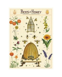 Juliste Cavallini - Bees & Honey