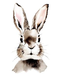 Postikortti Henna Adel - Pupu