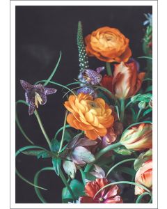 Postikortti Kreetta Järvenpää - Early in the spring