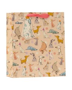 Lahjakassi M Partisan - Barney & Friends