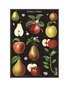 Juliste Cavallini - Apples & Pears