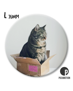 Magneetti L Pickmotion - Kissa pahvilaatikossa