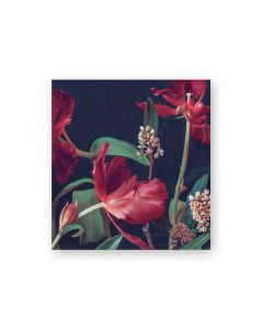 Pakettikortti Kreetta Järvenpää - Tulip talking