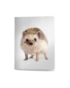 Pikkuvihko Henna Adel - Siili