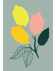 2-osainen kortti Mira Mallius - Sitruuna asetelma