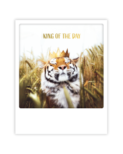 Postikortti Pickmotion - Tiikeri, king of the day
