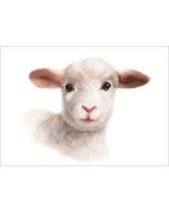 Postikortti Henna Adel - Karitsa