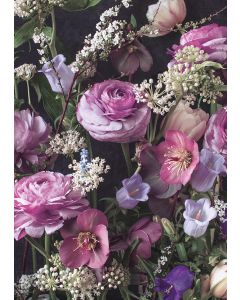 2-osainen kortti Kreetta Järvenpää - Spring III 2022