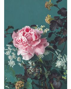 2-osainen kortti Kreetta Järvenpää - Peony Portrait 2022