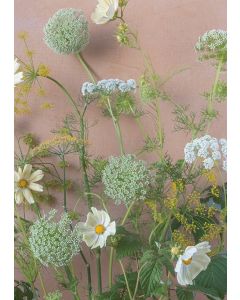 Postikortti Kreetta Järvenpää - Light Summer