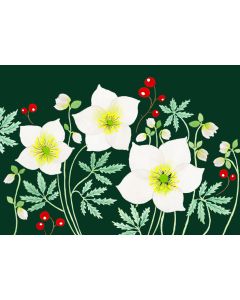 2-osainen joulukortti Anna Emilia - Valkoiset joulukukat