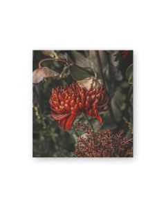 Pakettikortti joulu Putinki Järvenpää - Punaiset kukat