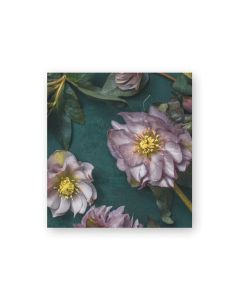 Pakettikortti joulu Putinki Järvenpää - Jouluruusut