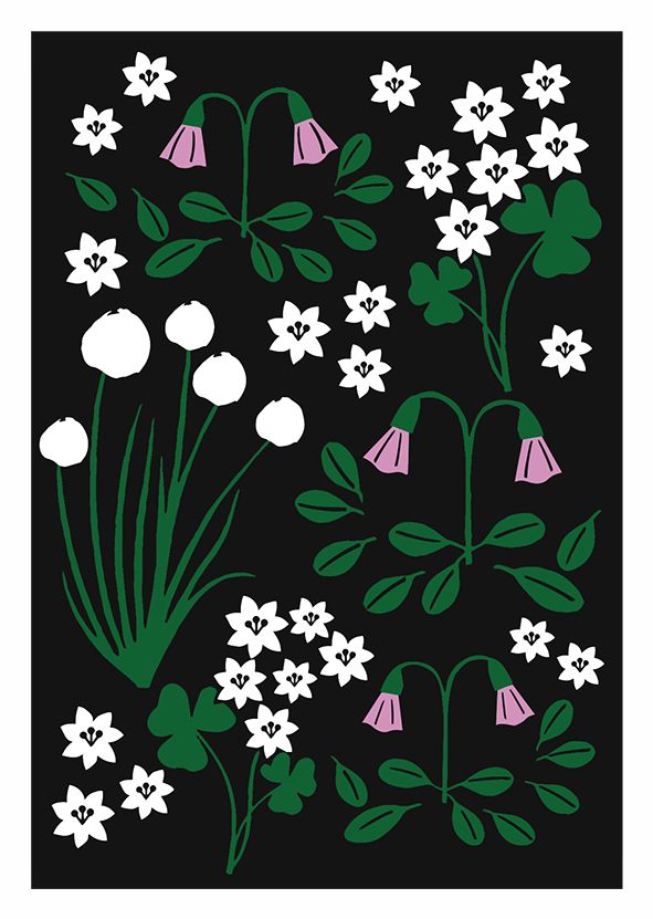 1-OS ANNE VASKO AV LP 24