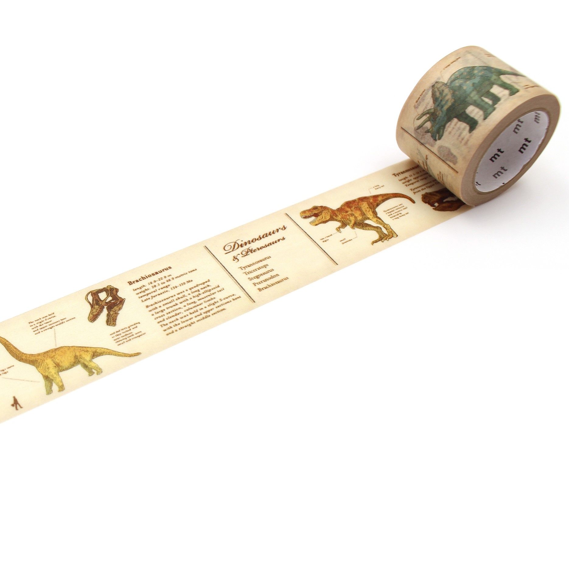 MT Masking Tape - Encyclopedia dinosaur