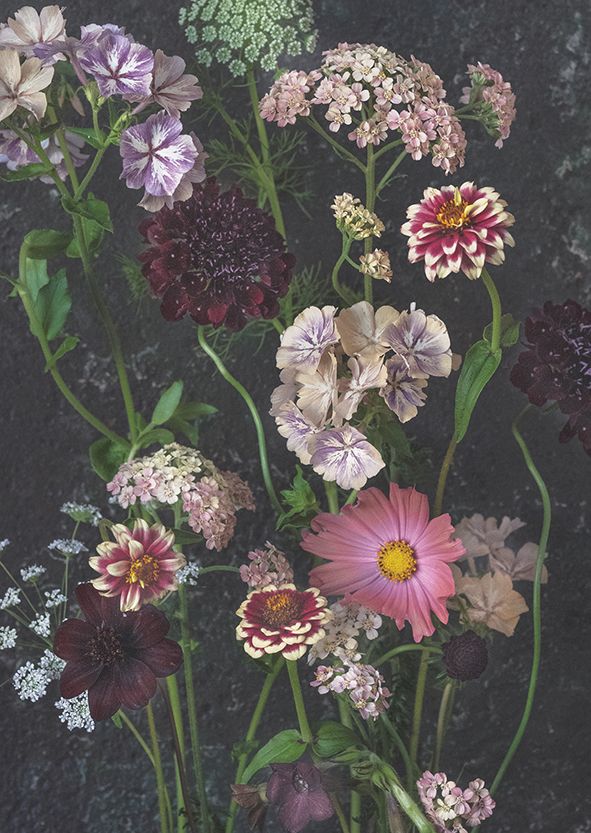 2-osainen kortti Kreetta Järvenpää - Oh August 2023 (Purppurat kukat)