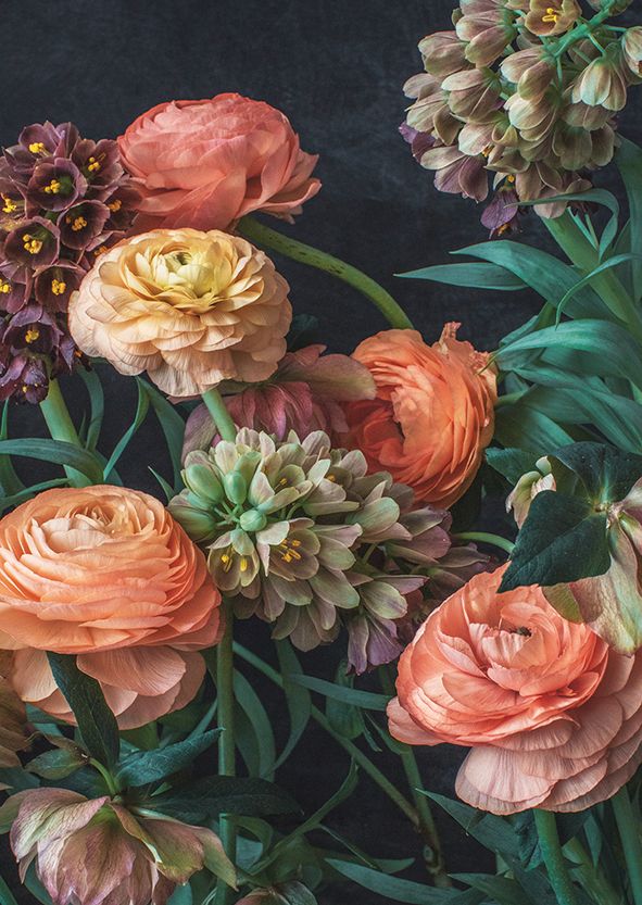 2-osainen kortti Kreetta Järvenpää - Flower Heroes 2020 (jaloleinikit)