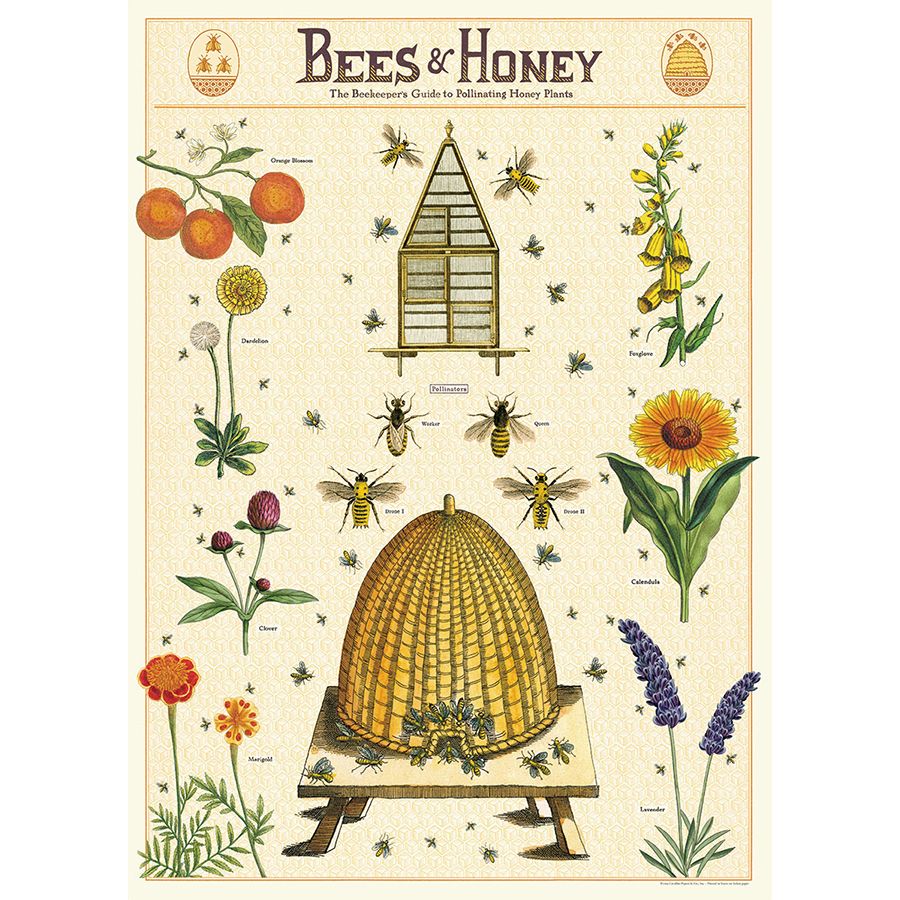 Juliste Cavallini - Bees & Honey