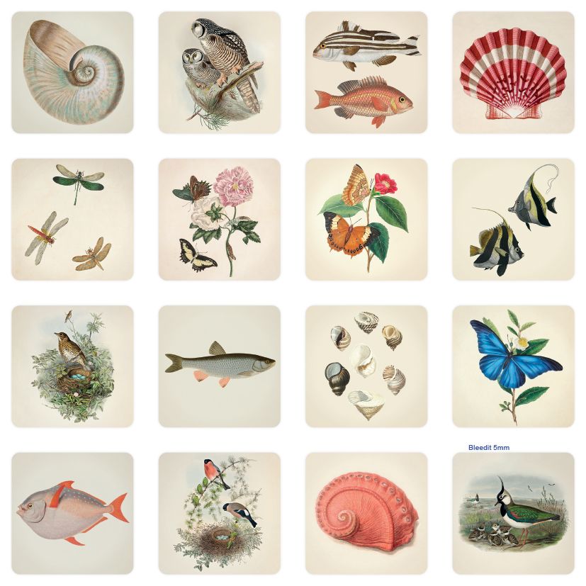 Muistipeli Putinki John Nurminen - Luonto