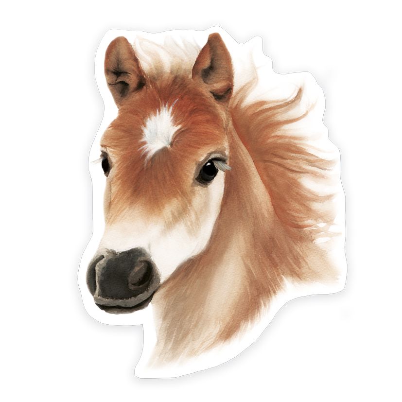 Vinyylitarra Putinki Henna Adel - Varsa