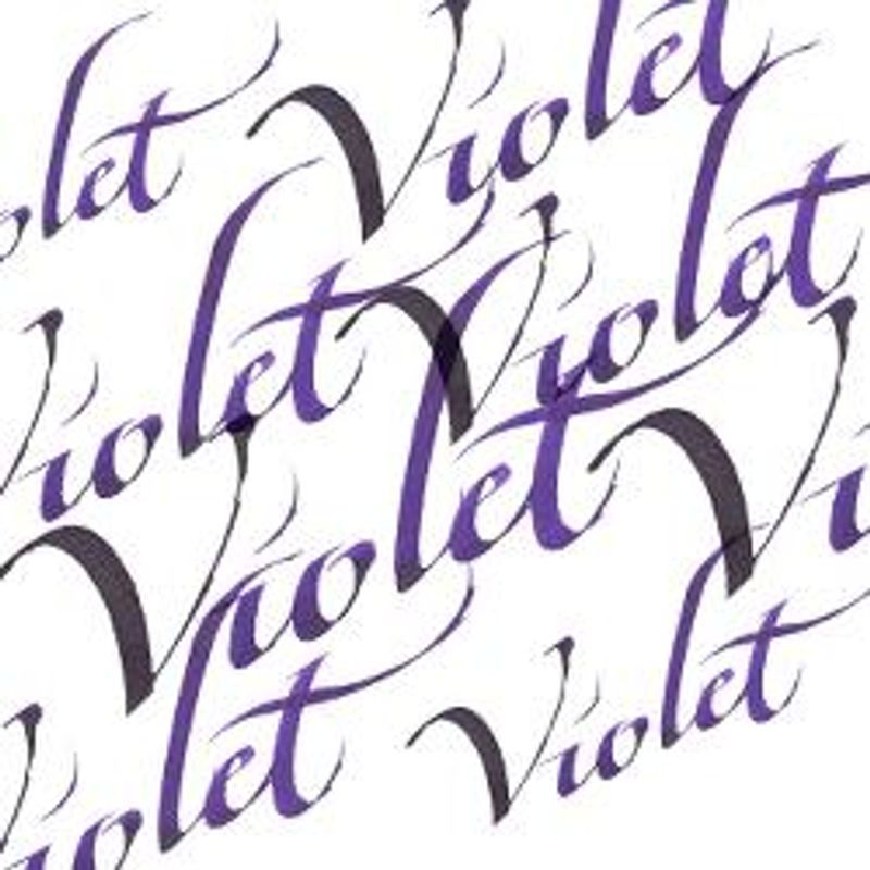 WN Calligraphy ink 30 ml688 Violet, kalligrafiamuste