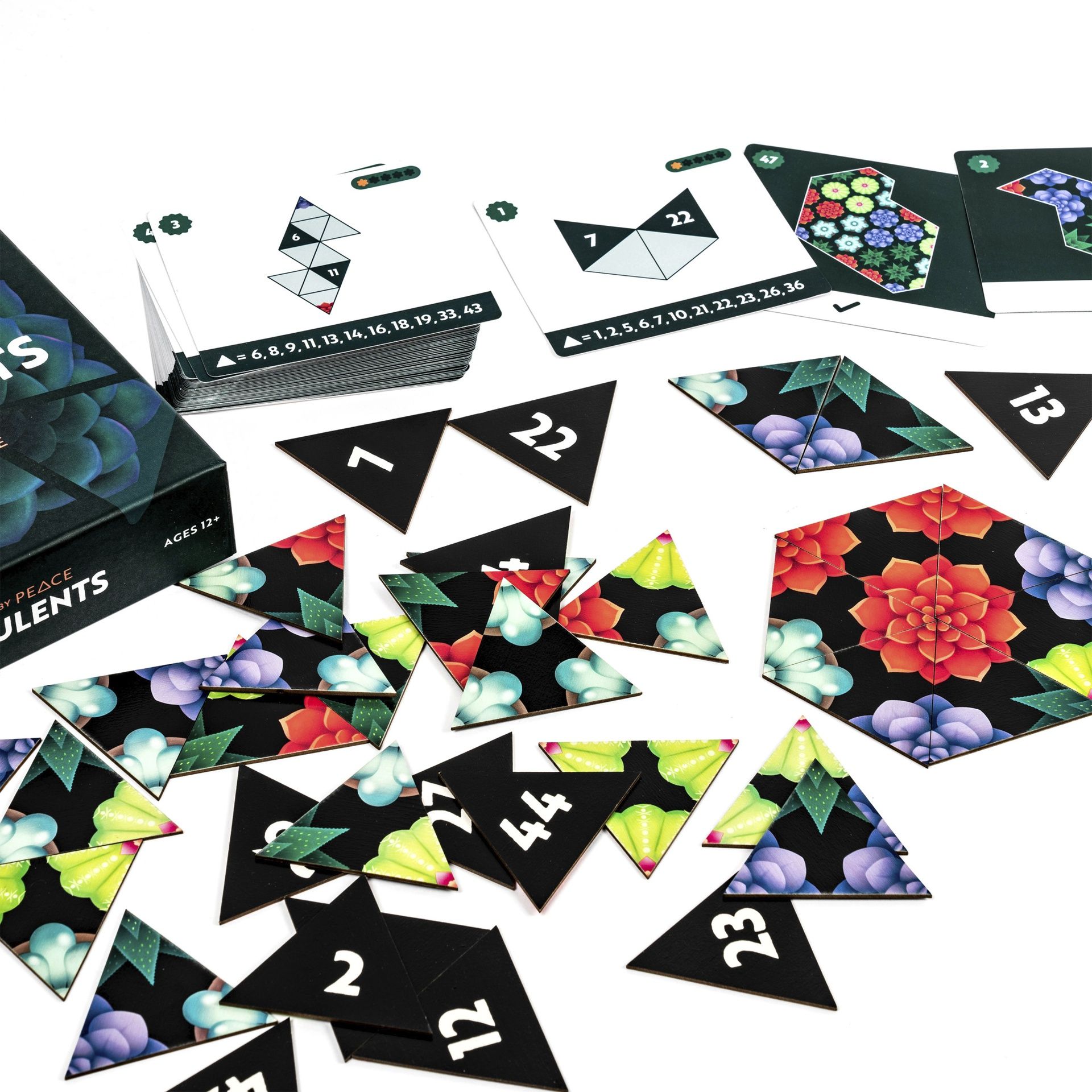 Älypeli 50 tehtävää Professor Puzzle - Peace by Peace: Succulents