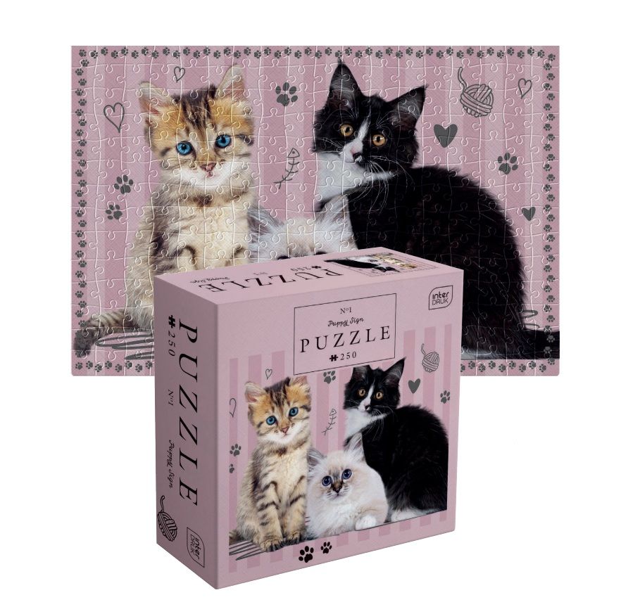 Palapeli 250 palaa Interdruk -Kids 5 World Map