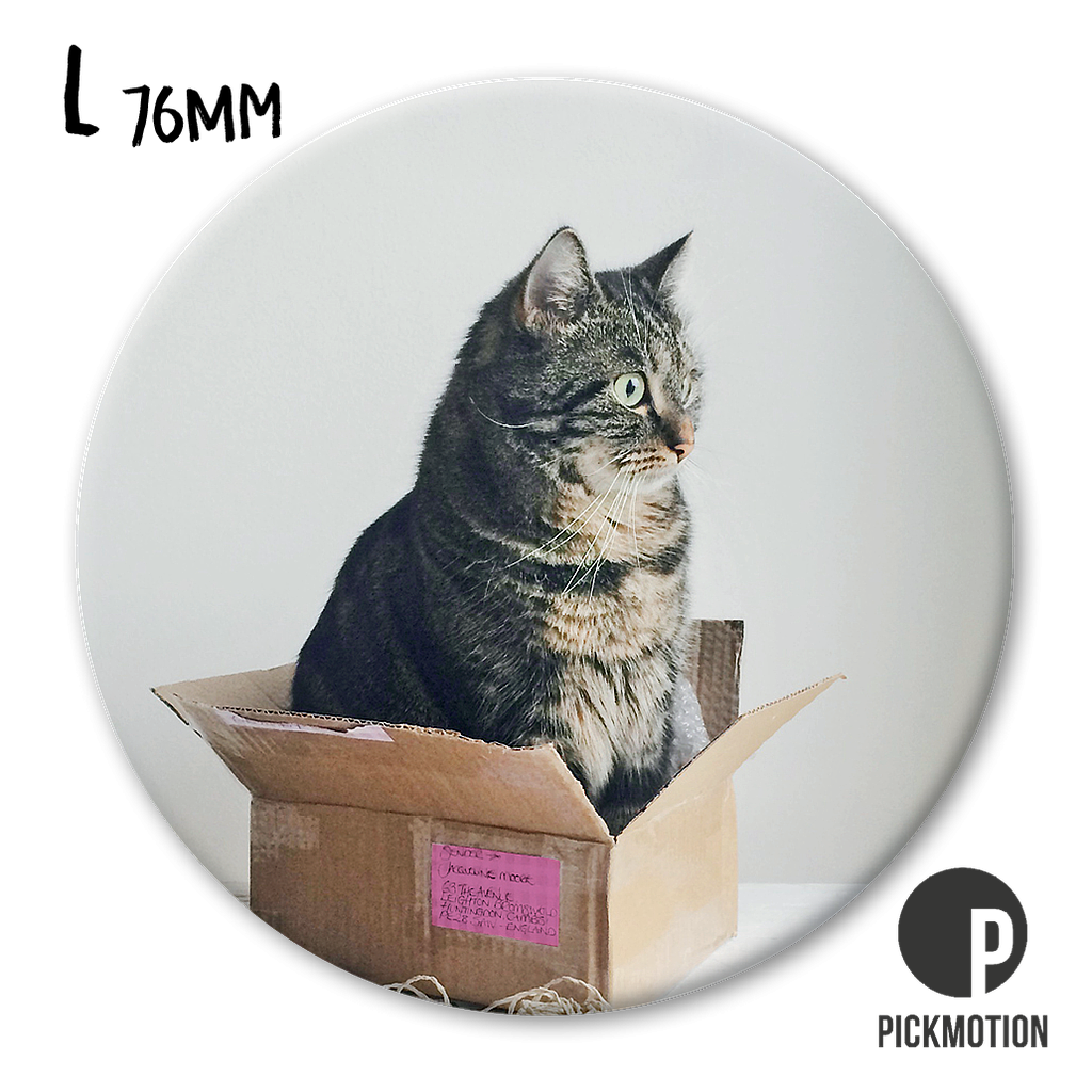 Magneetti L Pickmotion - Kissa pahvilaatikossa