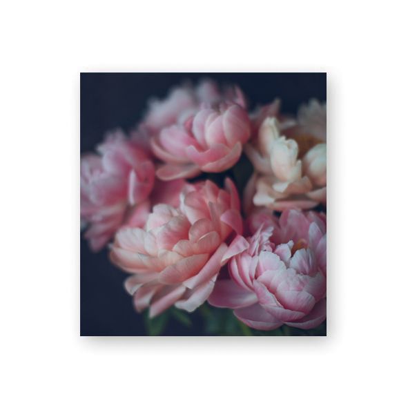 Pakettikortti Kreetta Järvenpää - Peonies 2017