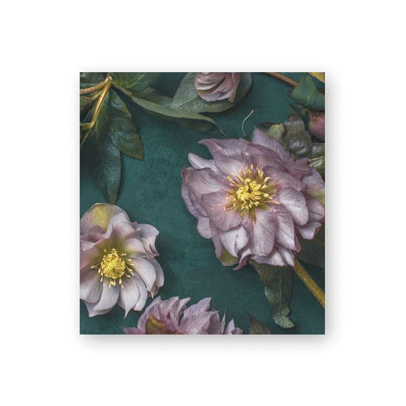 Pakettikortti joulu Putinki Järvenpää - Jouluruusut