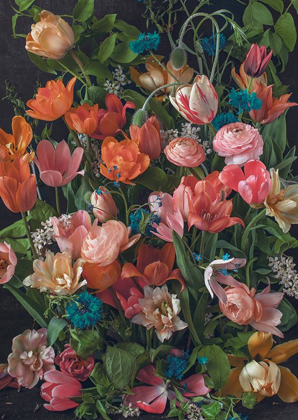 Postikortti Kreetta Järvenpää - Flora Favola