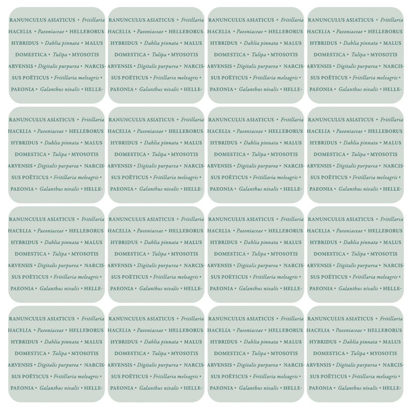 Muistipeli Kreetta Järvenpää - Kukat