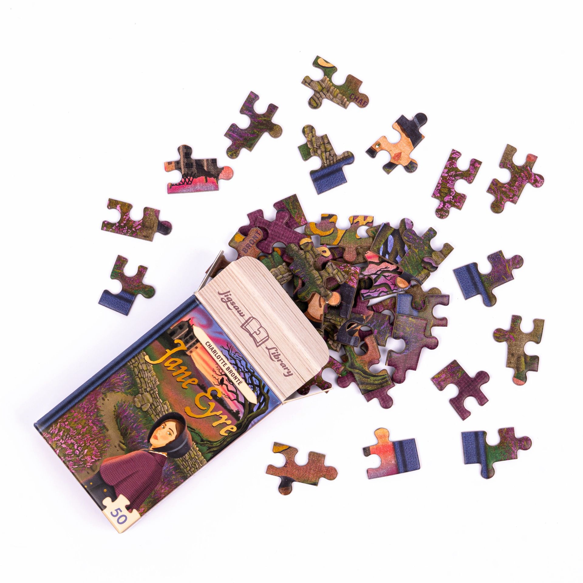 Minialapeli 50 palaa Professor Puzzle - Library